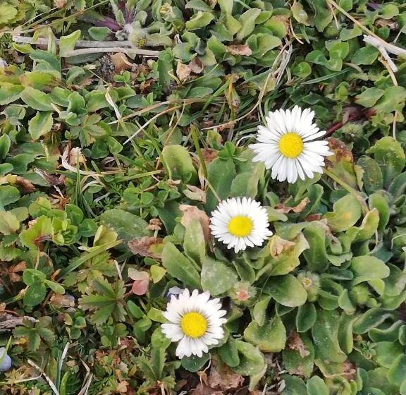 ホテル Parco Ducale Country House