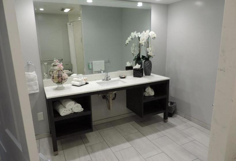 فندق Pavilion Inn