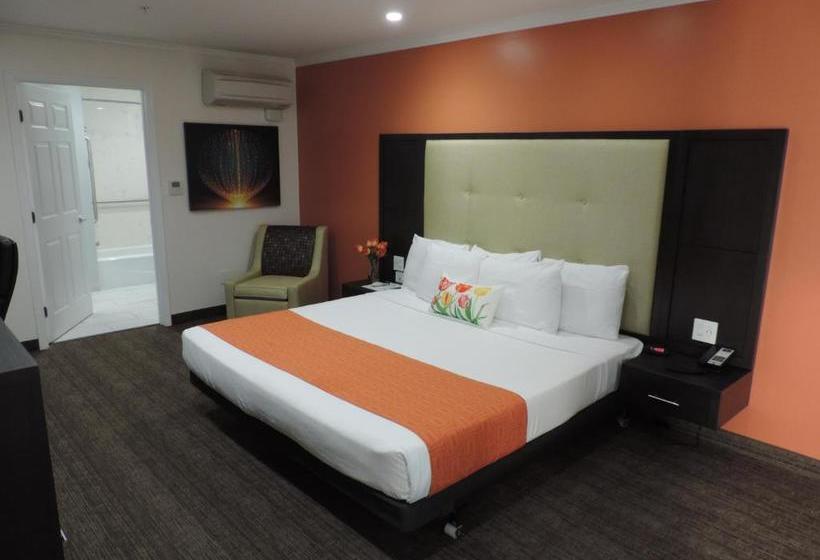 هتل Pavilion Inn