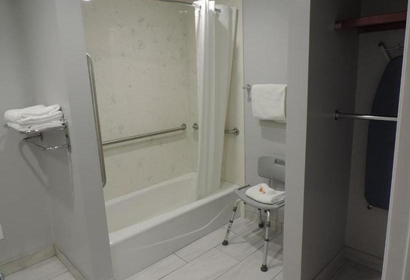 فندق Pavilion Inn