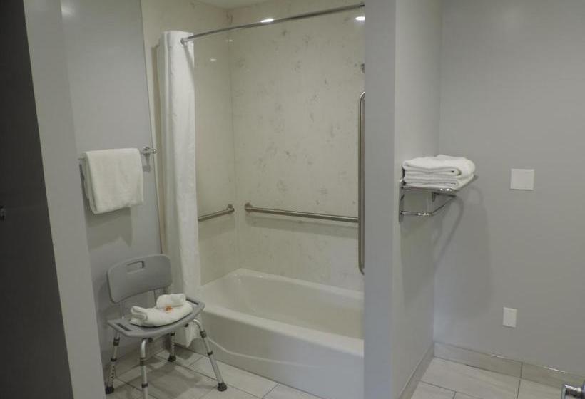 فندق Pavilion Inn