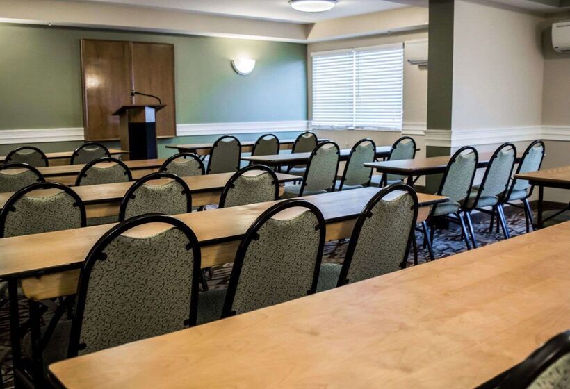 בית מלון כפרי Quality Inn & Suites Tampa Ybor City