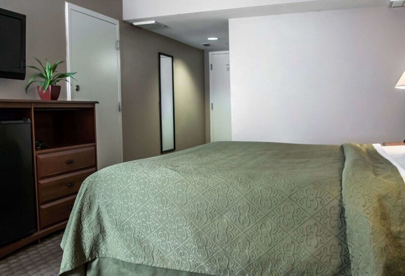 בית מלון כפרי Quality Inn & Suites Tampa Ybor City