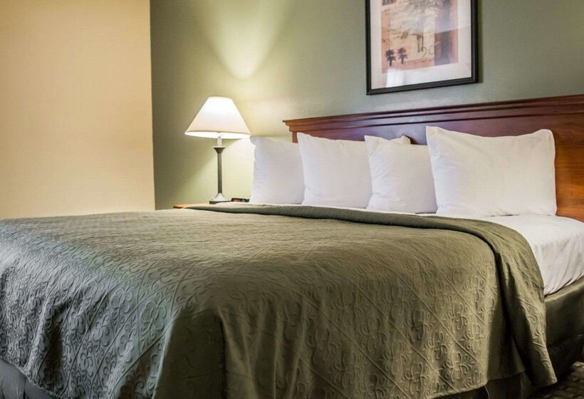 בית מלון כפרי Quality Inn & Suites Tampa Ybor City