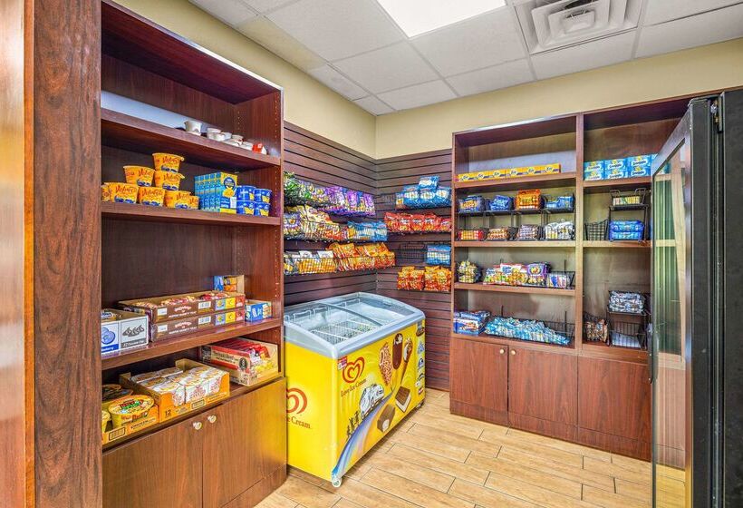 בית מלון כפרי Quality Inn & Suites Tampa Ybor City