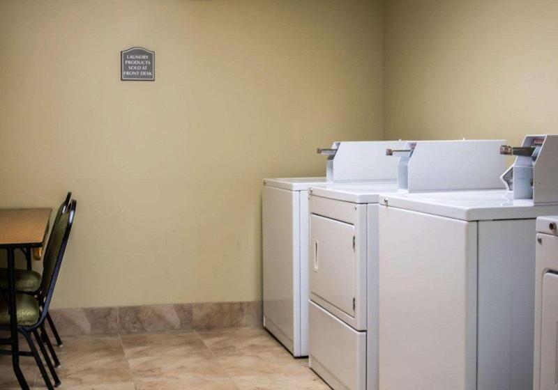 בית מלון כפרי Quality Inn & Suites Tampa Ybor City