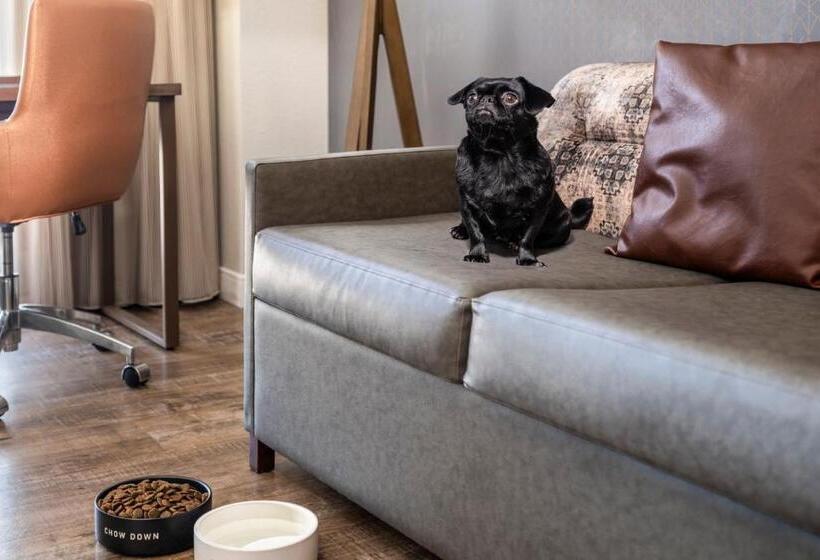 酒店 Residence Inn Austin Downtown/convention Center