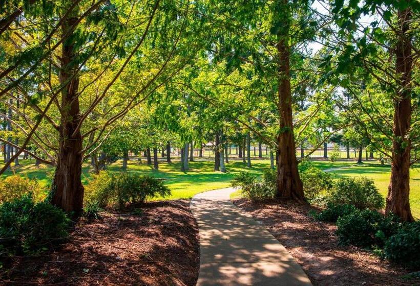 酒店 Residence Inn By Marriott Williamsburg