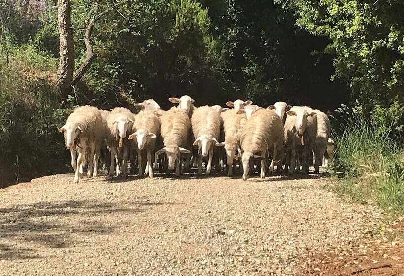 בית מלון כפרי Agriturismo Le Carolee
