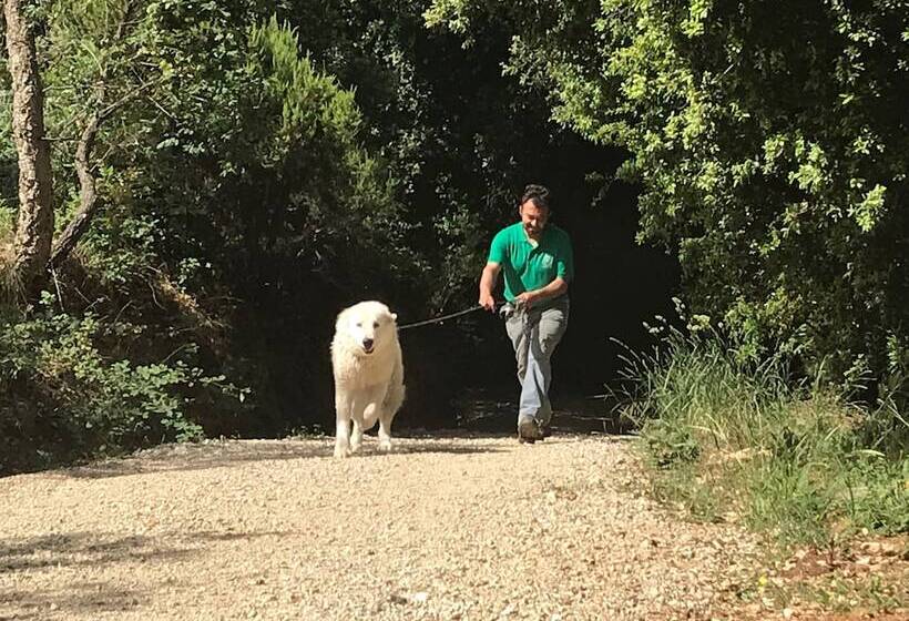 בית מלון כפרי Agriturismo Le Carolee