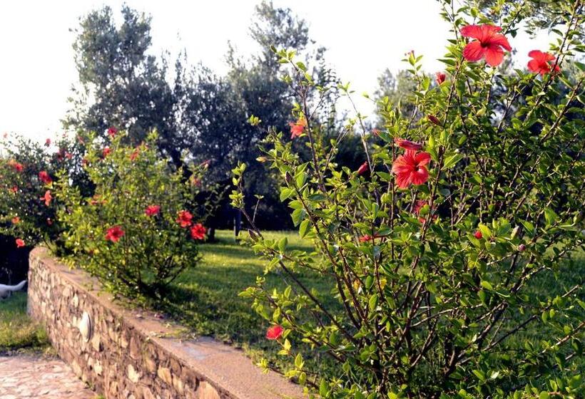 בית מלון כפרי Agriturismo Le Carolee