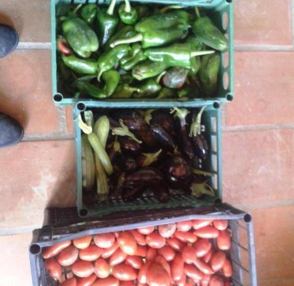 Сельский отель Marco & Andrea Agriturismo