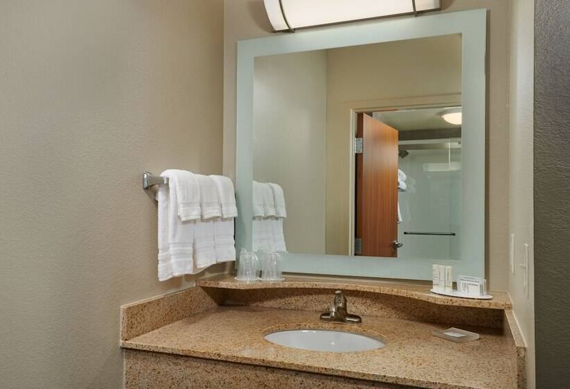 هتل Springhill Suites By Marriott Baton Rouge North / Airport