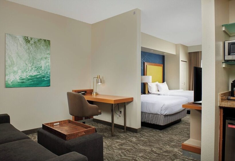 هتل Springhill Suites By Marriott Baton Rouge North / Airport