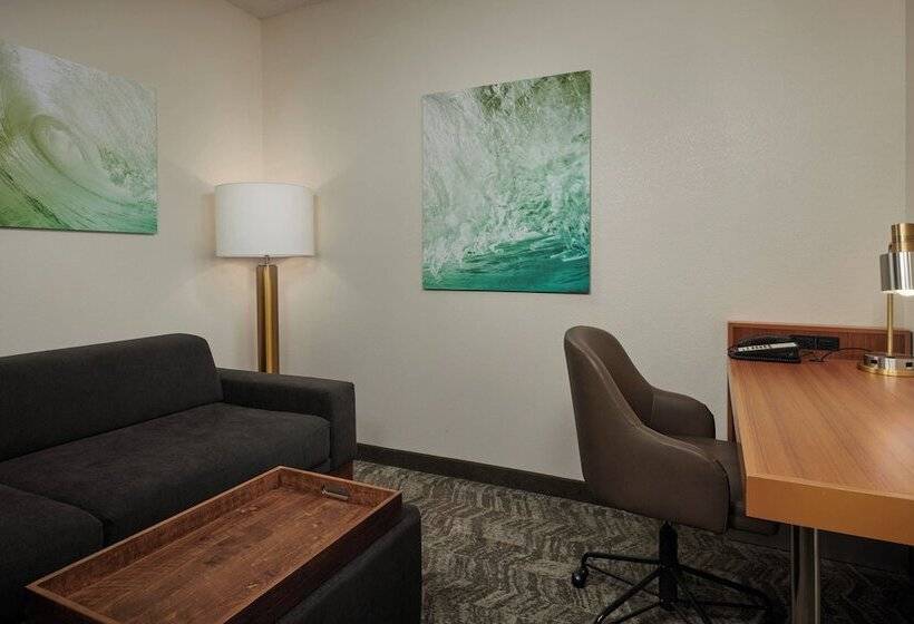هتل Springhill Suites By Marriott Baton Rouge North / Airport