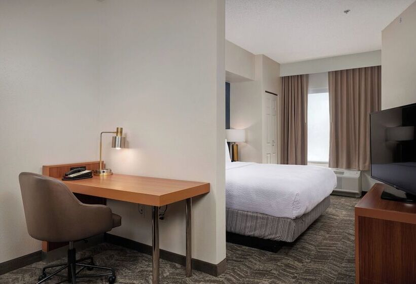 هتل Springhill Suites By Marriott Baton Rouge North / Airport