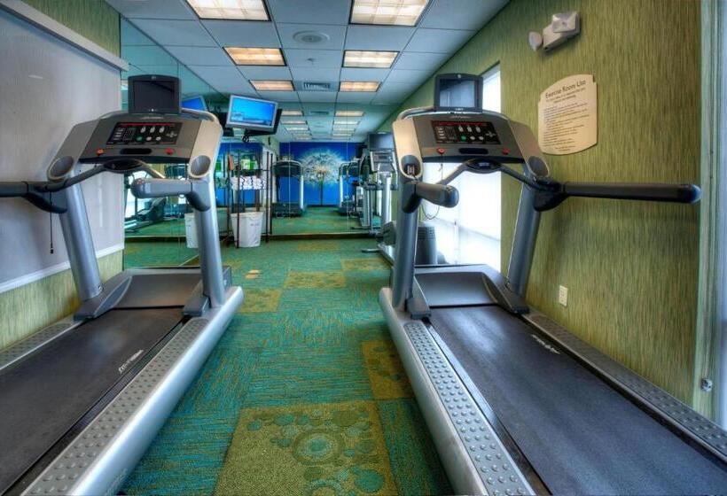 酒店 Springhill Suites By Marriott   Tampa Brandon