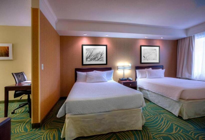 酒店 Springhill Suites By Marriott   Tampa Brandon