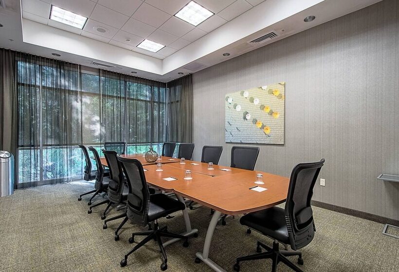 בית מלון כפרי Springhill Suites Tampa North/tampa Palms