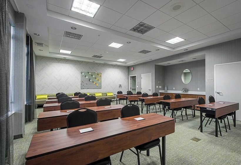 בית מלון כפרי Springhill Suites Tampa North/tampa Palms
