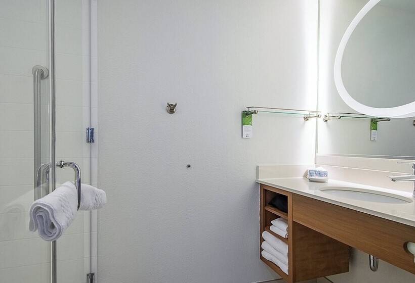 בית מלון כפרי Springhill Suites Tampa North/tampa Palms