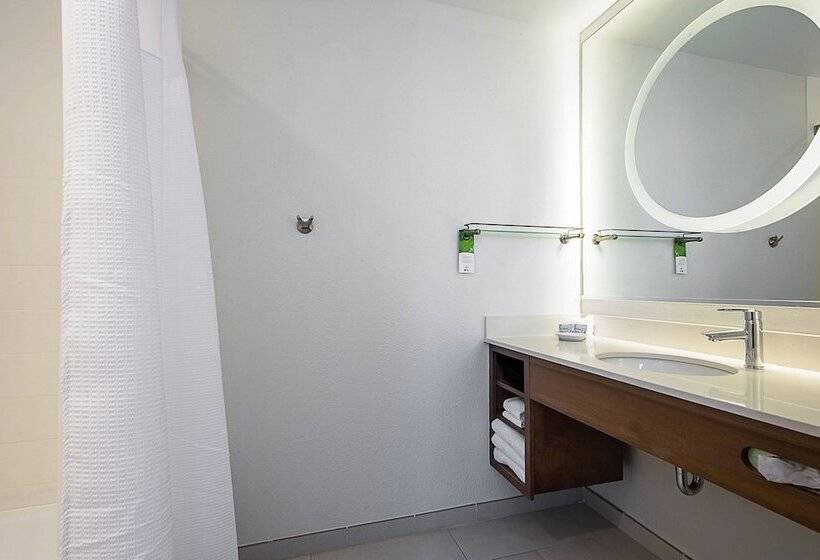 בית מלון כפרי Springhill Suites Tampa North/tampa Palms