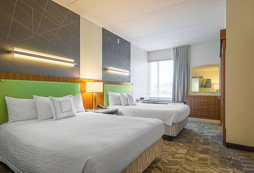 בית מלון כפרי Springhill Suites Tampa North/tampa Palms