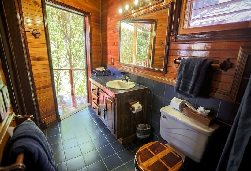 호텔 Tambor Tropical Beach Resort Adults Only