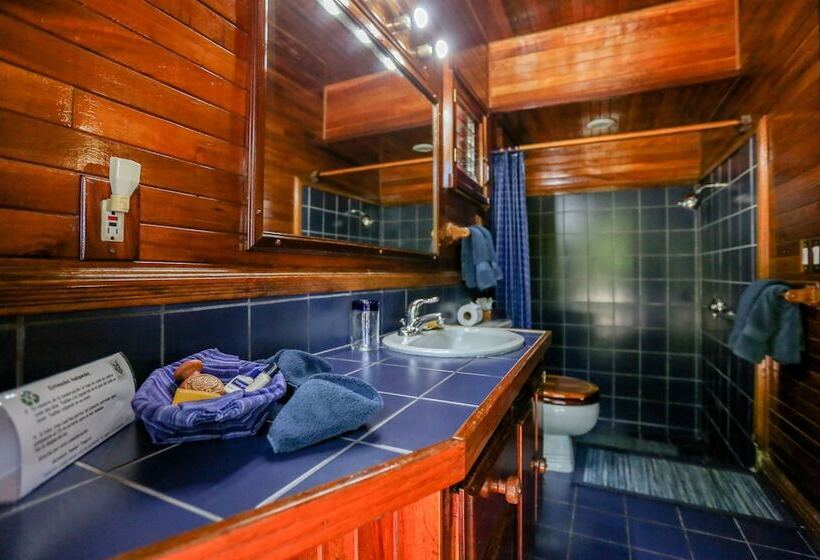 호텔 Tambor Tropical Beach Resort Adults Only