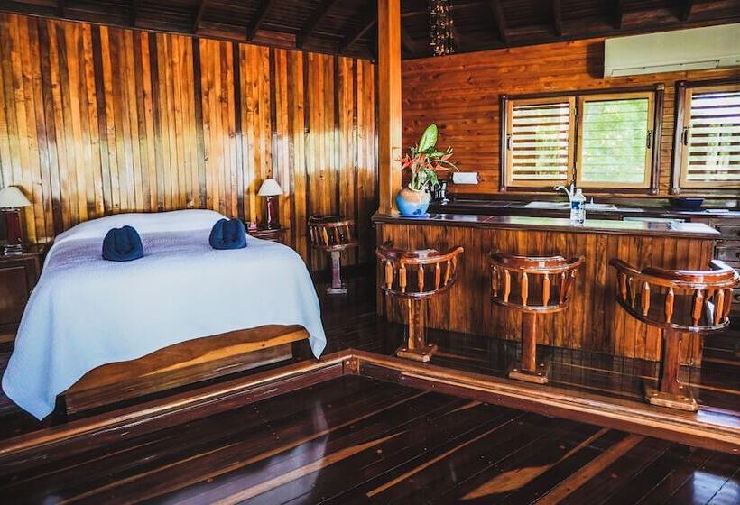 호텔 Tambor Tropical Beach Resort Adults Only