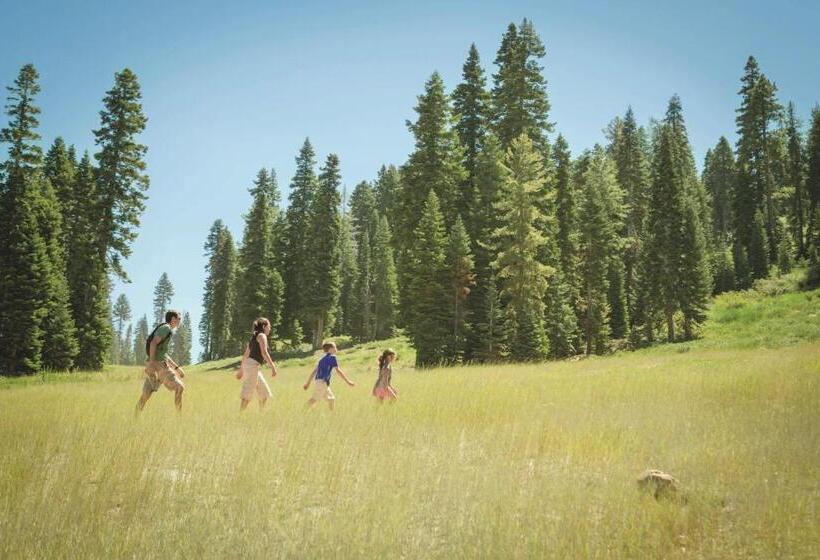 호텔 The Ritz Carlton, Lake Tahoe