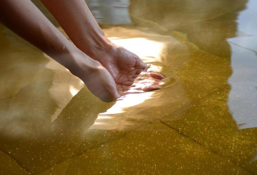 בית מלון כפרי Washu Blue Resort風籠 Kasago