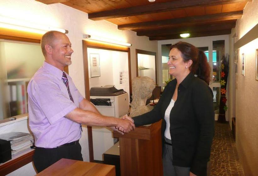 فندق Zunfthaus Zu Wirthen