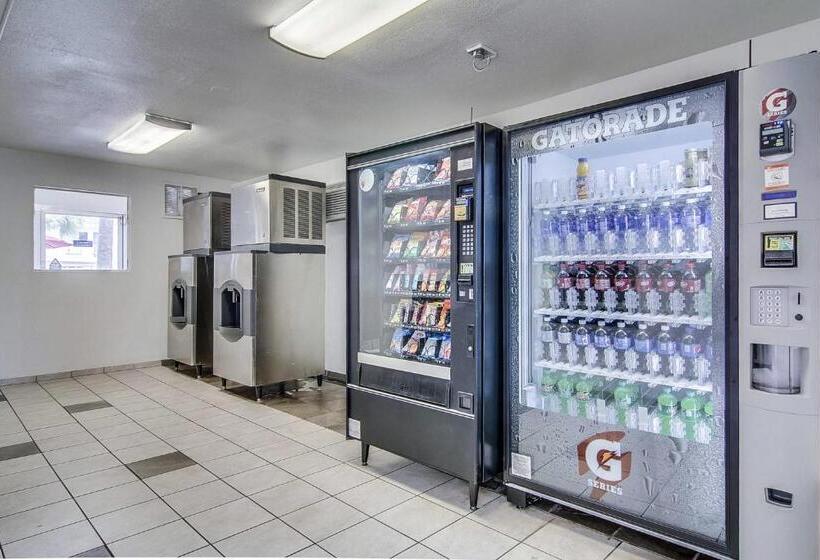 Motel 6jacksonville, Fl  Orange Park