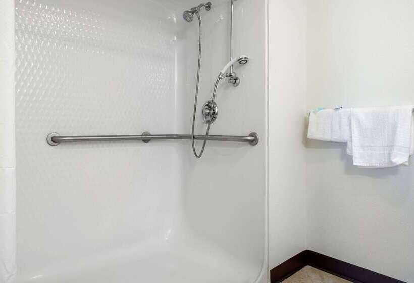 فندق على الطريق Rodeway Inn