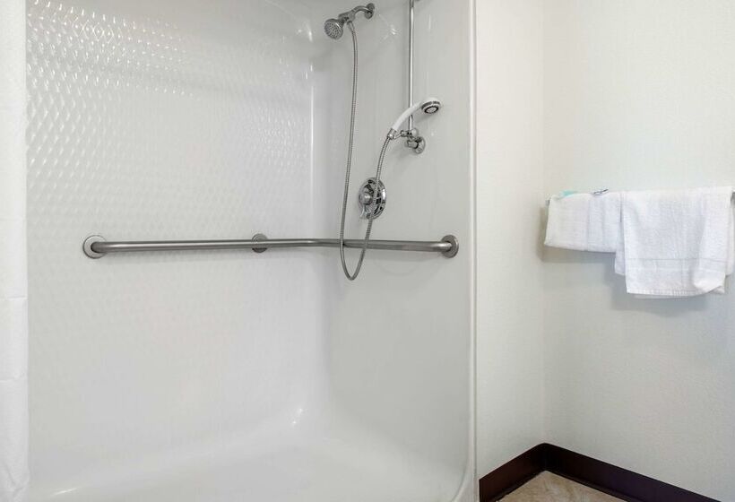 فندق على الطريق Rodeway Inn