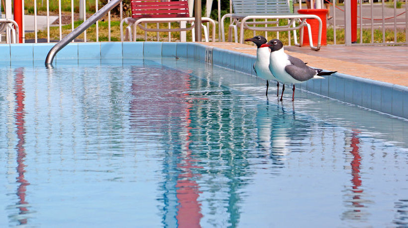 فندق على الطريق Beachwalk Inn