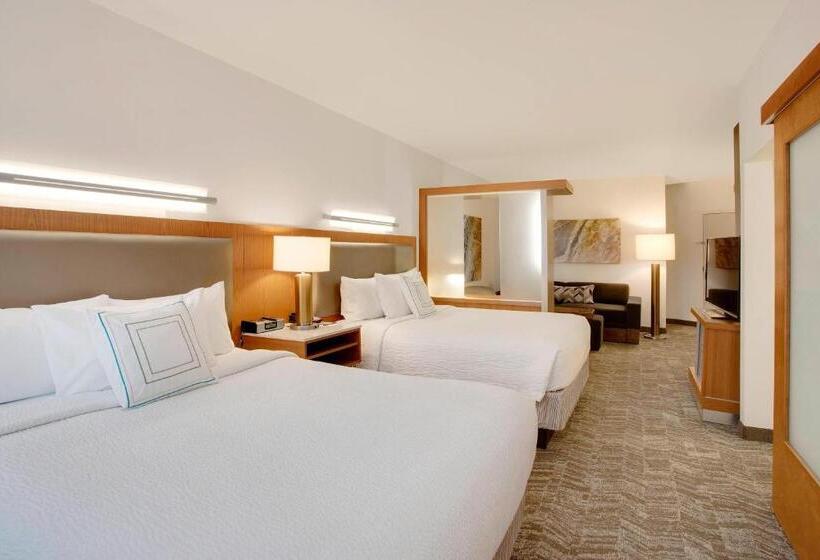 Springhill Suites Hartford Airport/windsor Locks