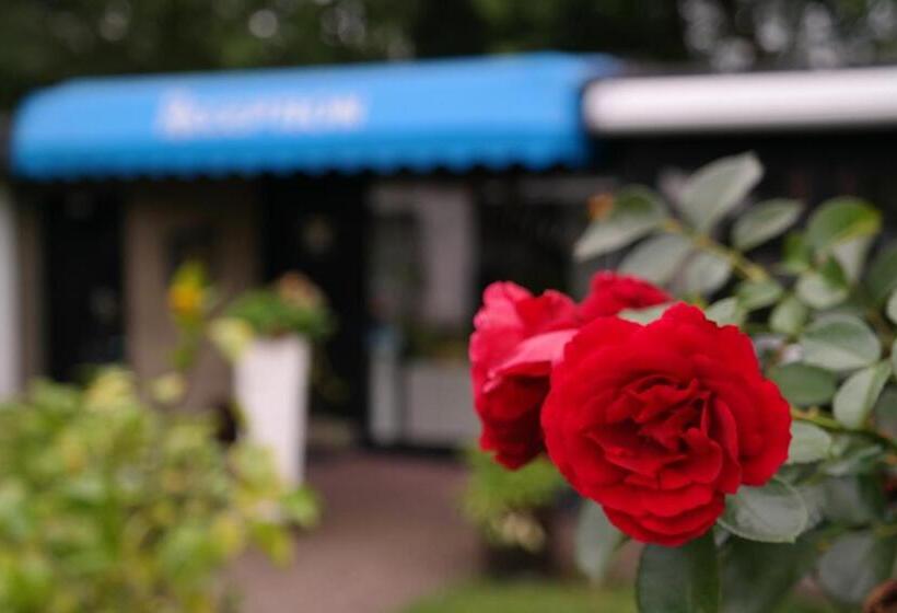 Am Hallenbad Hotel Garni