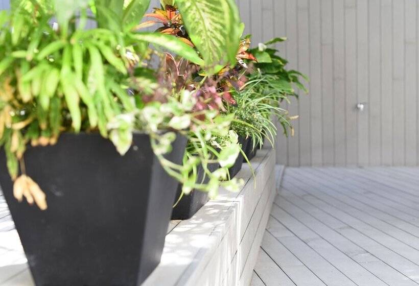 Calypso Boutique Apartments