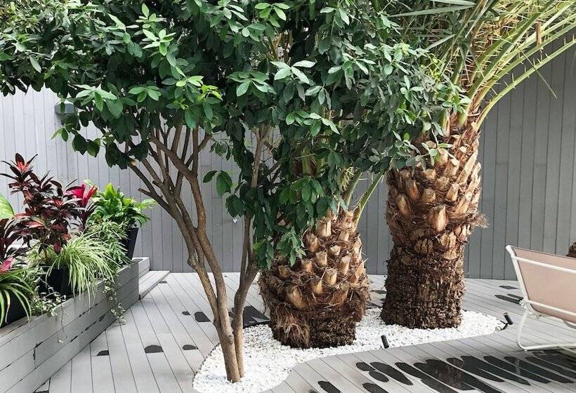 Calypso Boutique Apartments