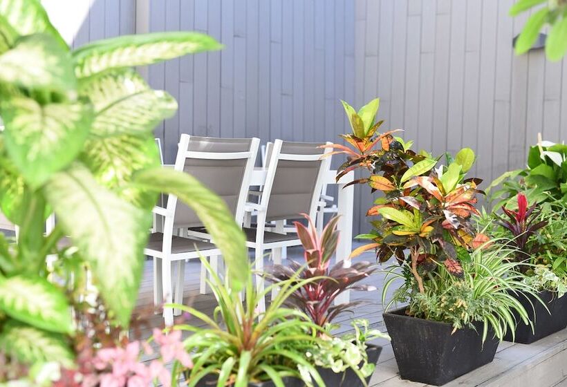 Calypso Boutique Apartments