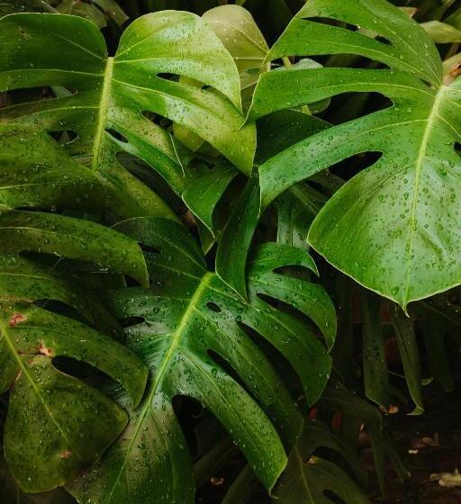 Casa Rural El Vihuelo