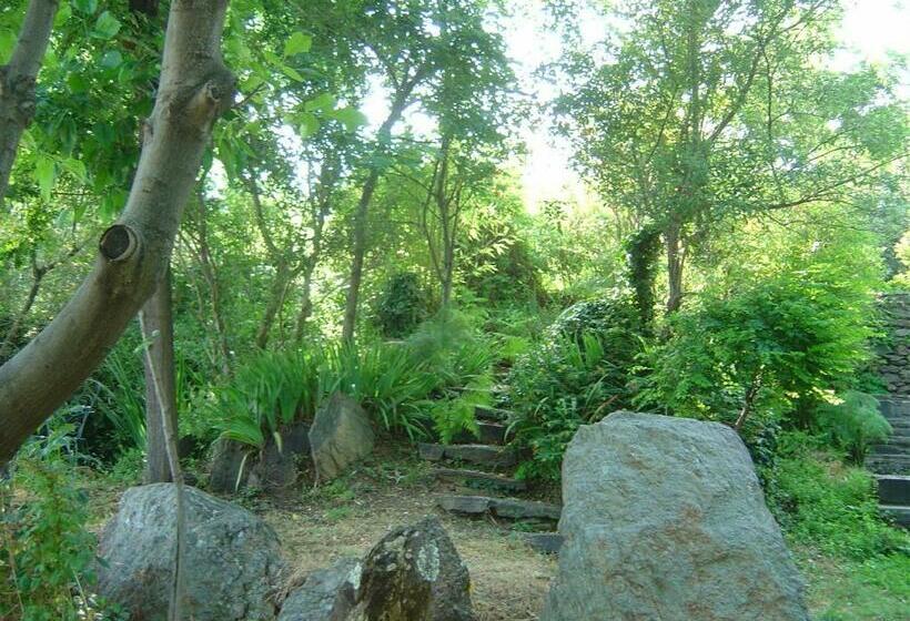 Cortijo Prado Toro