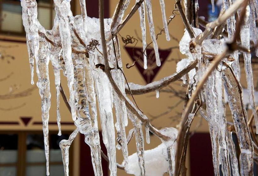 Die Lilie / Hotel Garni