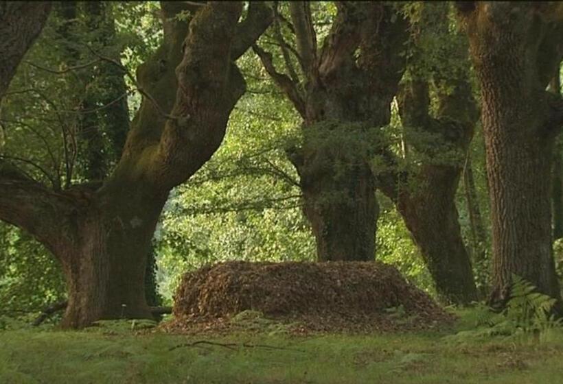 Fervenza Casa Grande & Restaurante