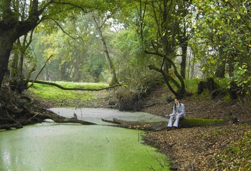 Fervenza Casa Grande & Restaurante