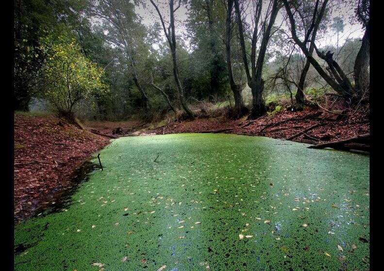 Fervenza Casa Grande & Restaurante