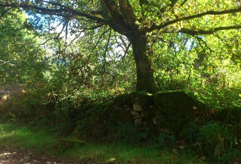 Fervenza Casa Grande & Restaurante