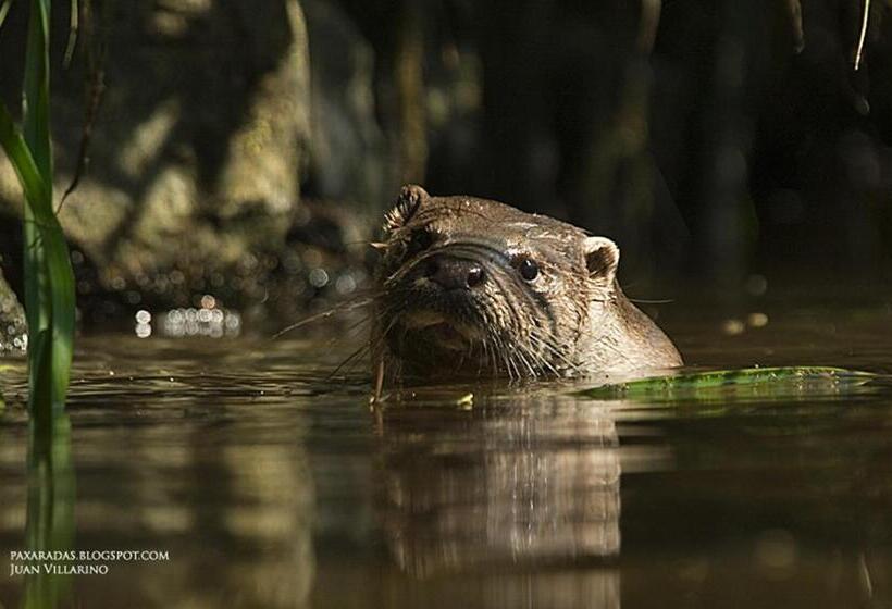 Fervenza Casa Grande & Restaurante